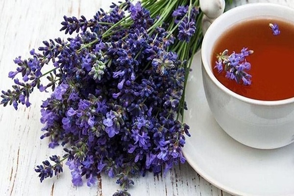 تصویر 1 از فروش دمنوش گل اسطوخودوس + قیمت خرید به صرفه